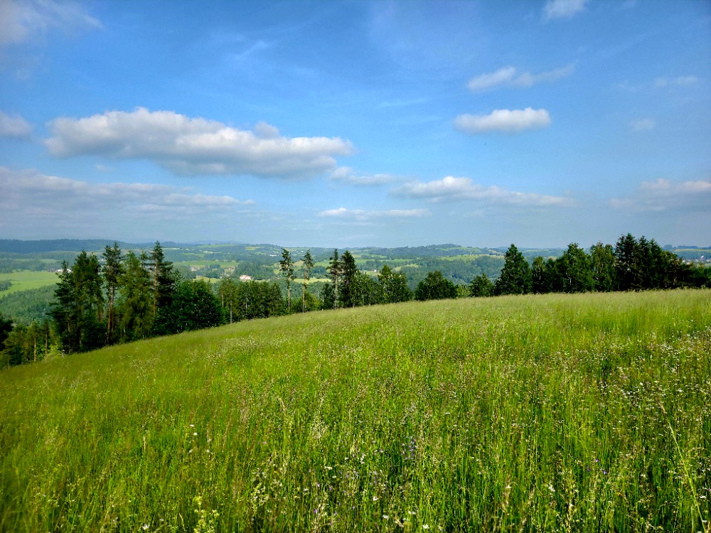Pozemek k rekreaci 10451 m2, Vlastiboř u Železného Brodu